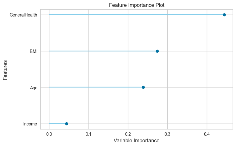 Feature Importance